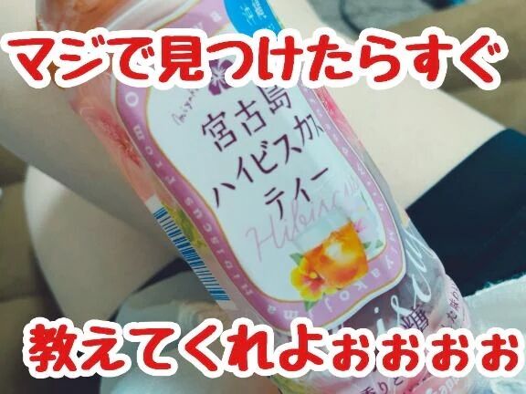 コーヒー飲めへん圧倒的紅茶派&#127793;&#8902;｡