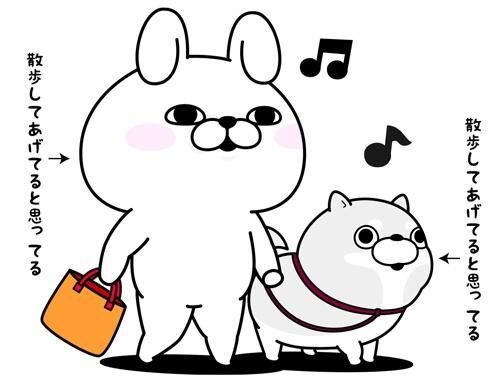 今日は