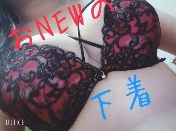 今日も今日とて