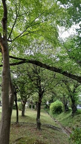 ご帰宅前に&#x301C;&#9825;&#9825;　(*^^*)／