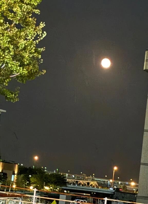 皆既月食