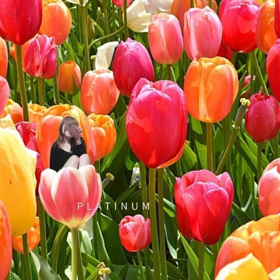 お礼日記&#9825;&#9825;.*