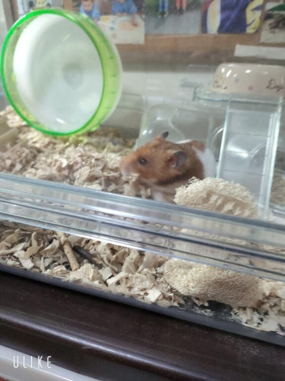 家の&#9825;