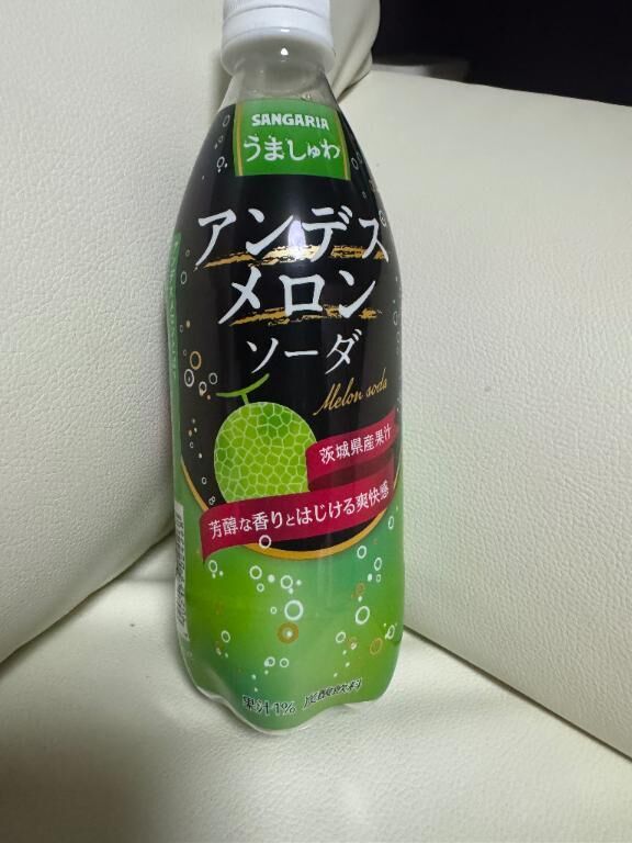 今日の1本