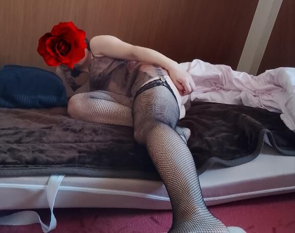 白鷺