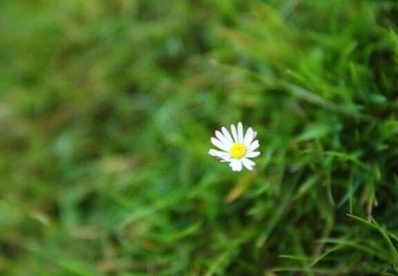 はるひ&#9728;&#65039;です