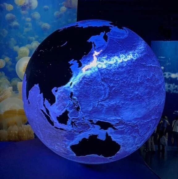 次は土曜日&#129528;&#3954;&#3968;