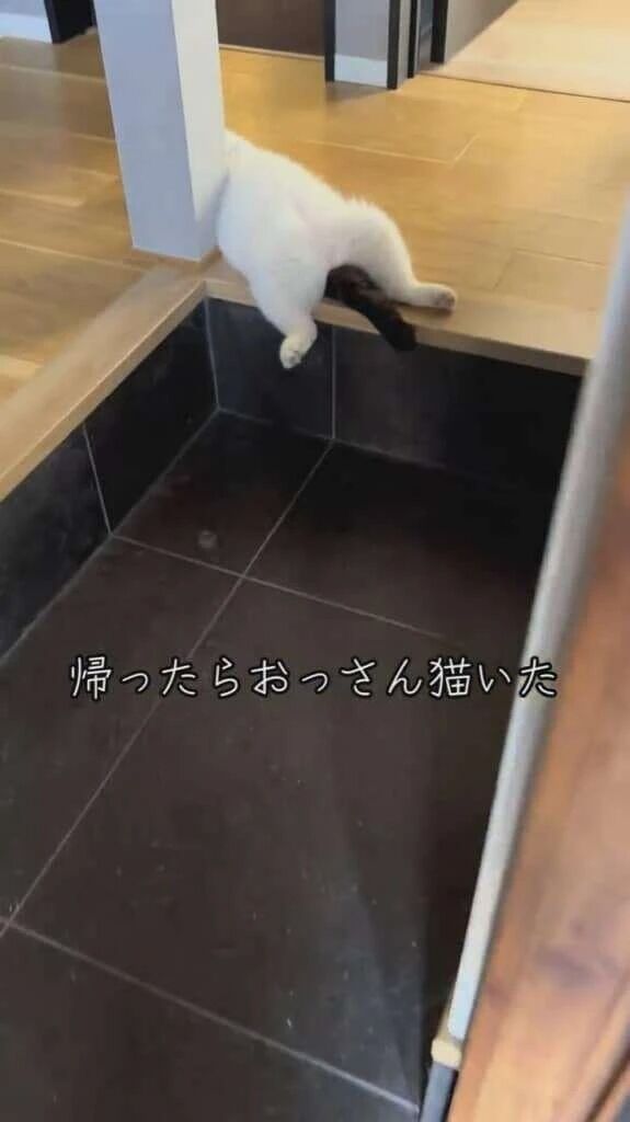 メガネが曇るんぢゃ