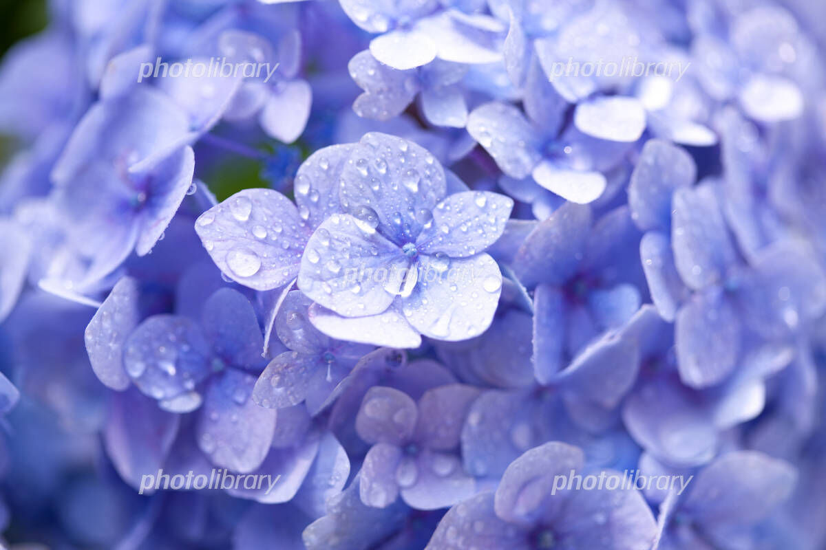 12日(金)　15時30分　♡様