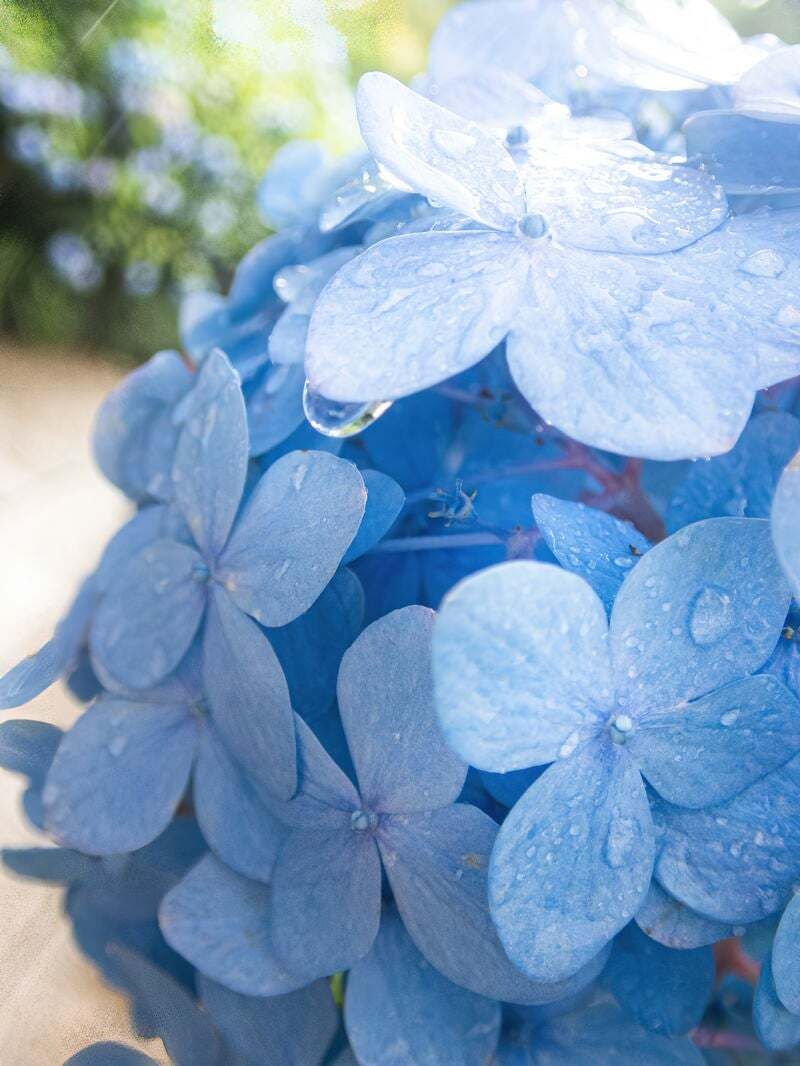 12日(金)　18時15分　♡様