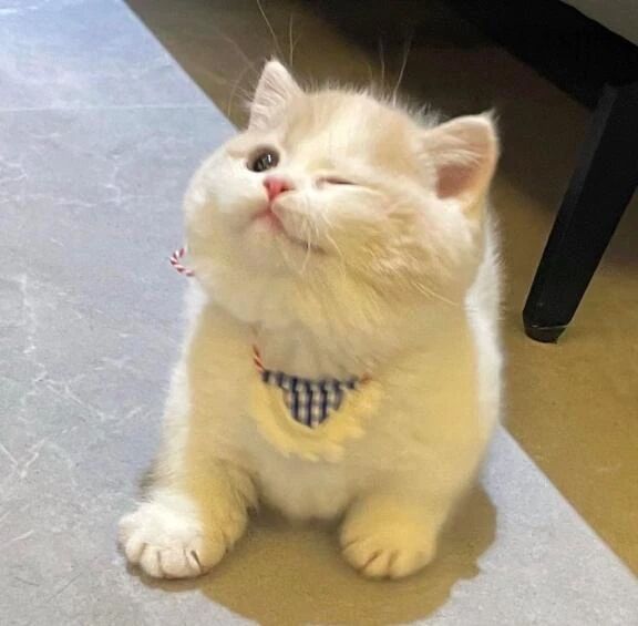 ありがとまる&#128156;