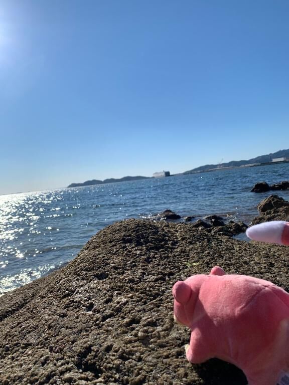 昨日…