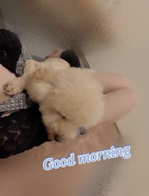 更新˖ ݁楔.ཐི༑ཋྀ.楔 ݁˖