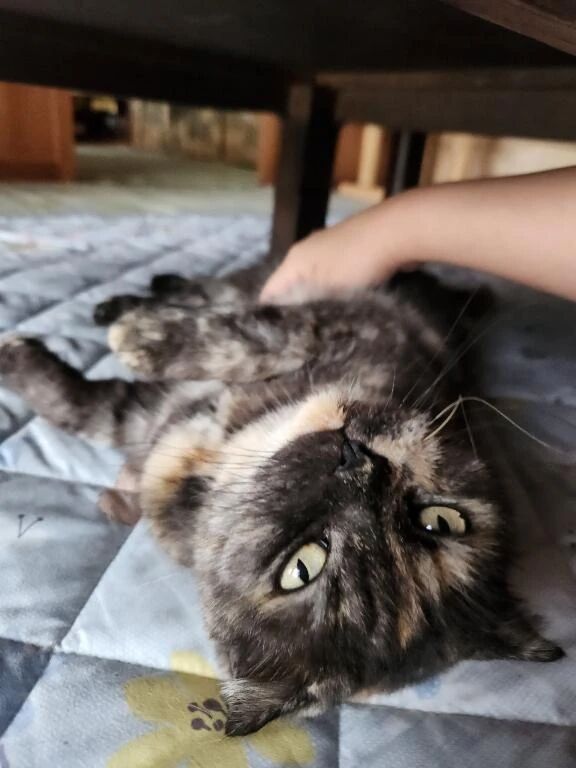 むかいちゅ&#128139;