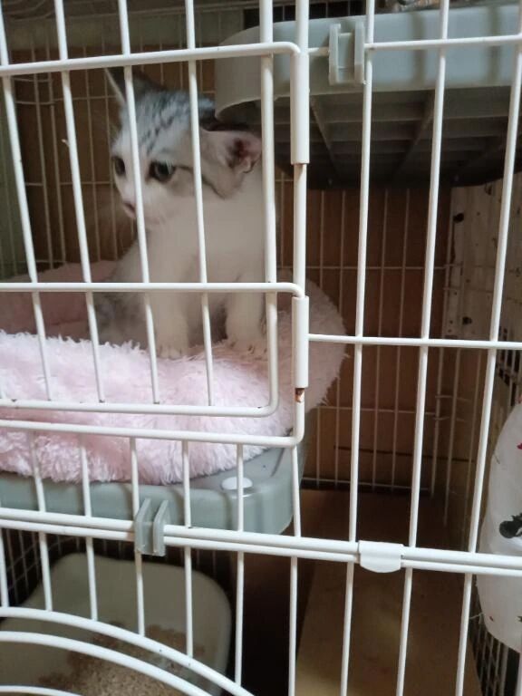 &#11088;プレイの参考にして下さい&#11088;&#12953;&#65039;&#129323;