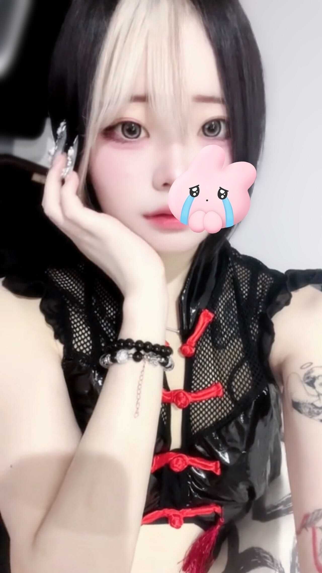 きたきた