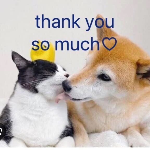 ありがとうございました♡