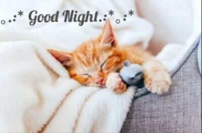 ＊おやすみなさい＊