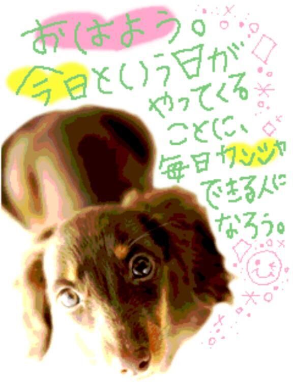 from:ワイハさん