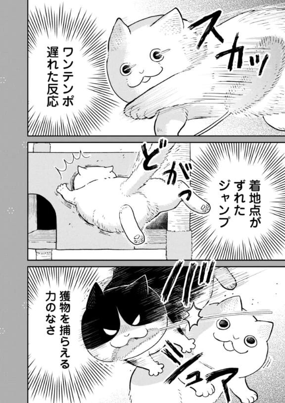 |･д･｡)ｵﾊ