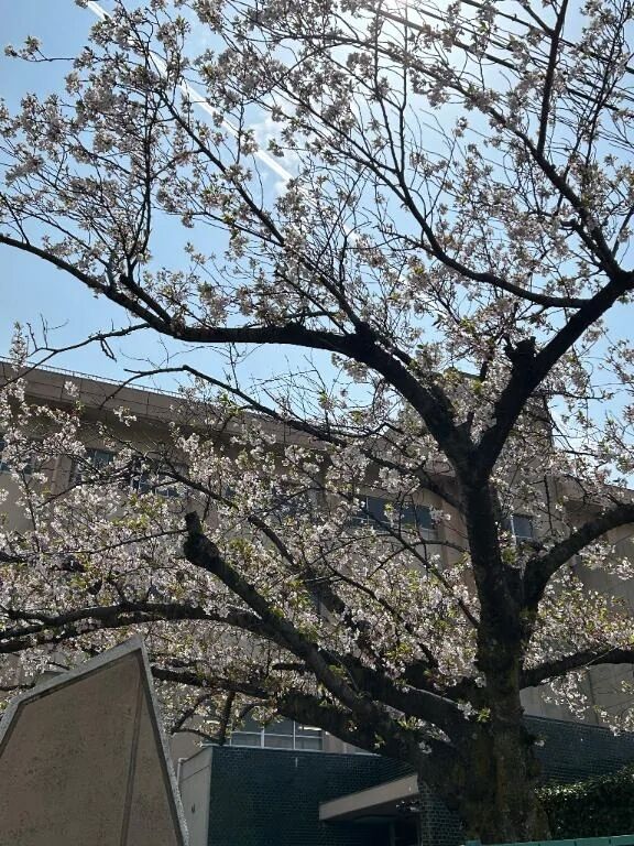 おはようございます