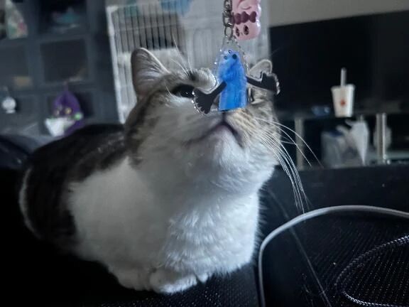 もう少しで