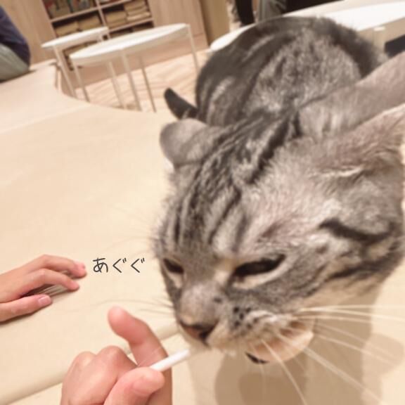 アニマルセラピー&#9825;&#9825;