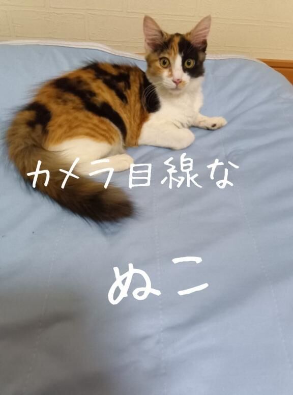 高山向かってます