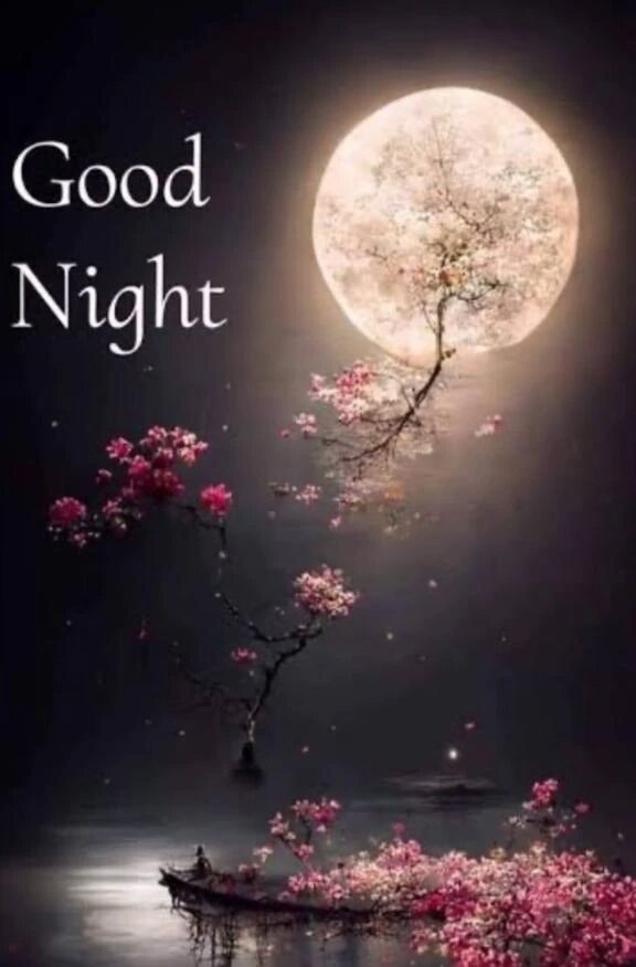 good night
