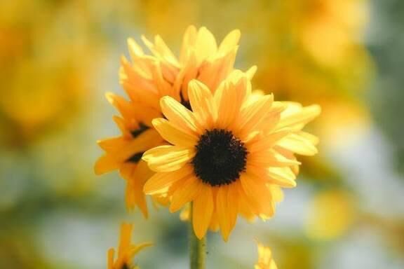 遅くなりすみません