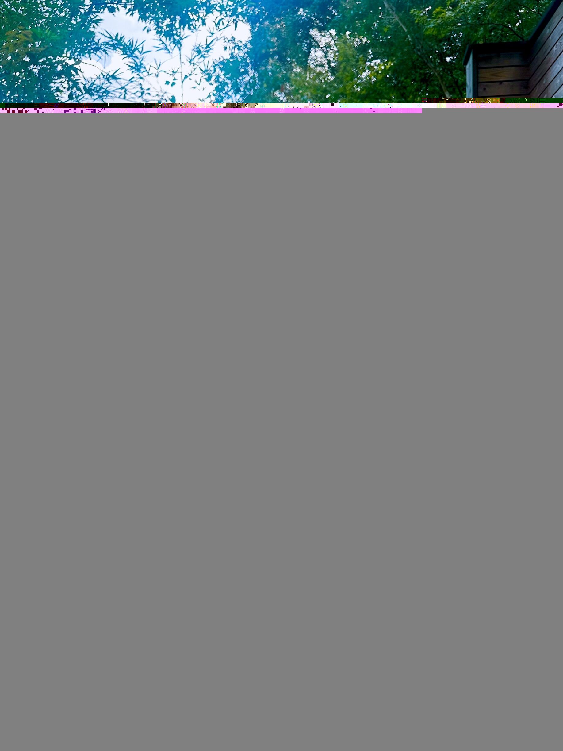 &#9832;&#65039;&#127811;