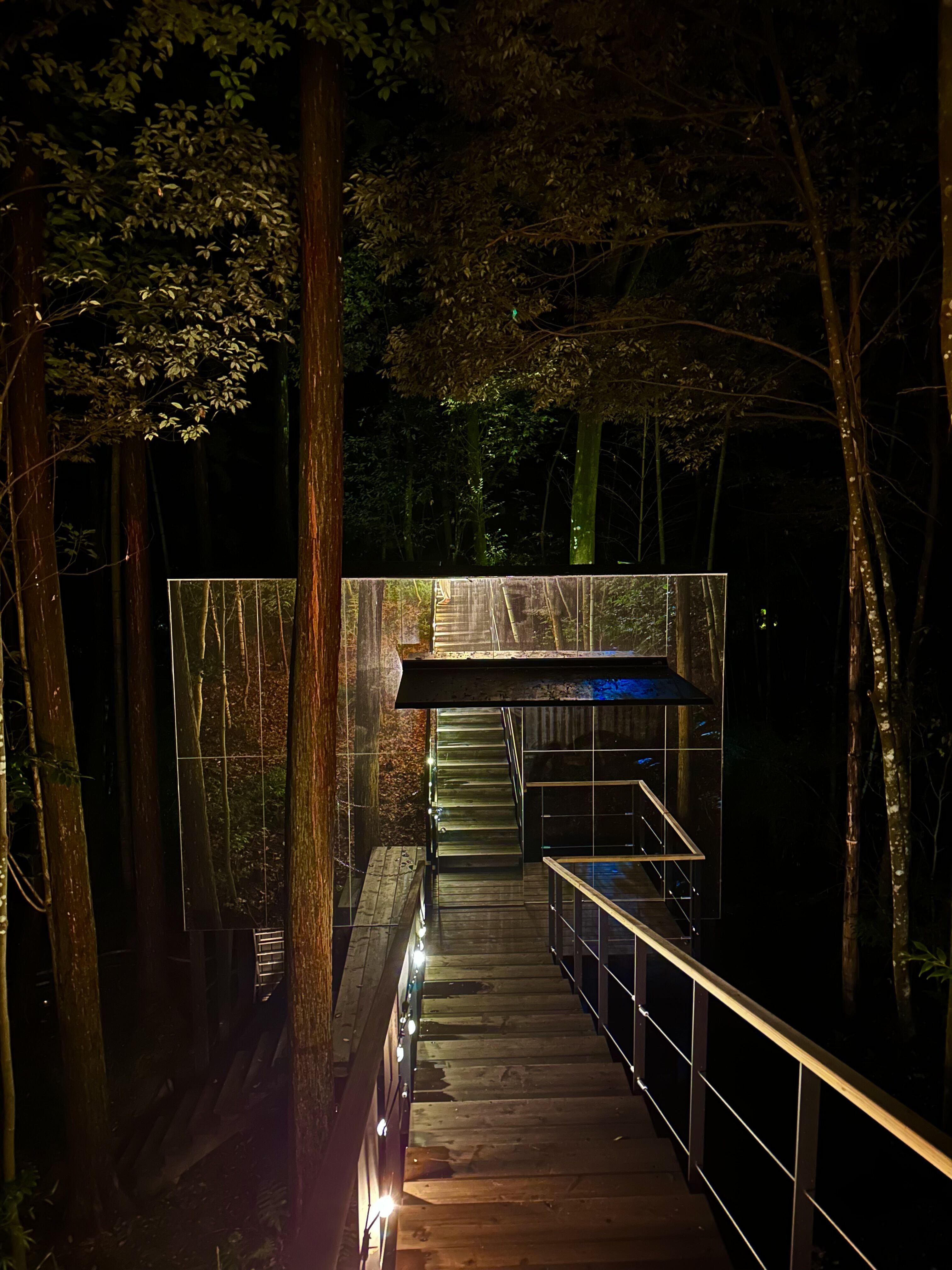 &#127795;&#129494;&zwj;♀&#65039;&#127769;