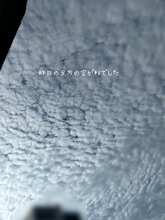 日曜日のありがとう&#9825;&#9825;