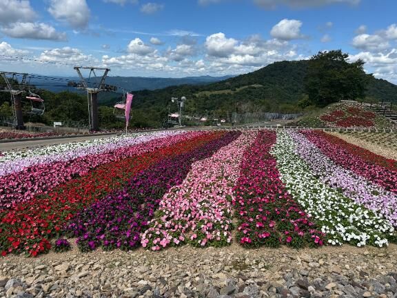 おはようございます★