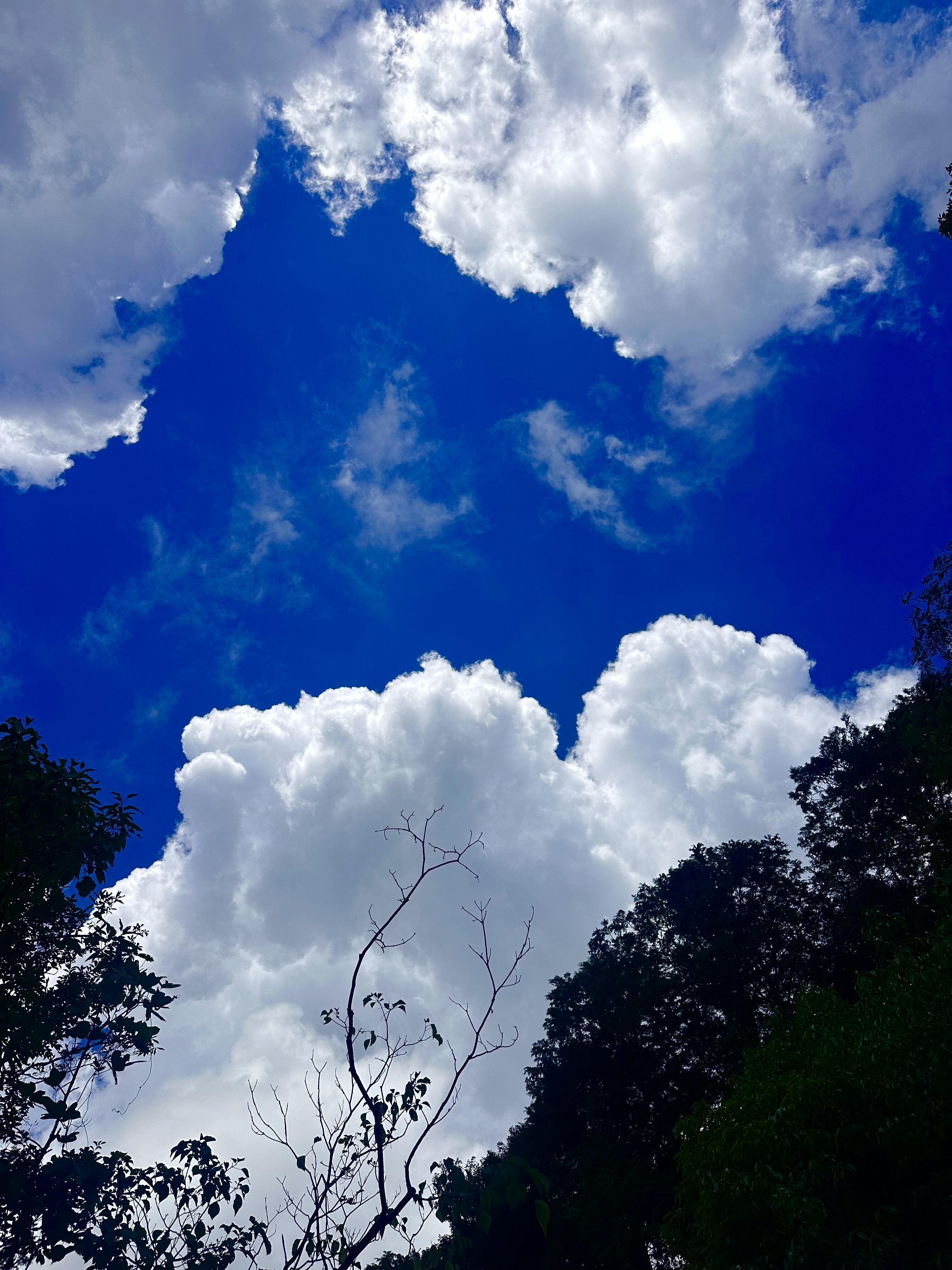 1時間後に５日目の旅館へ