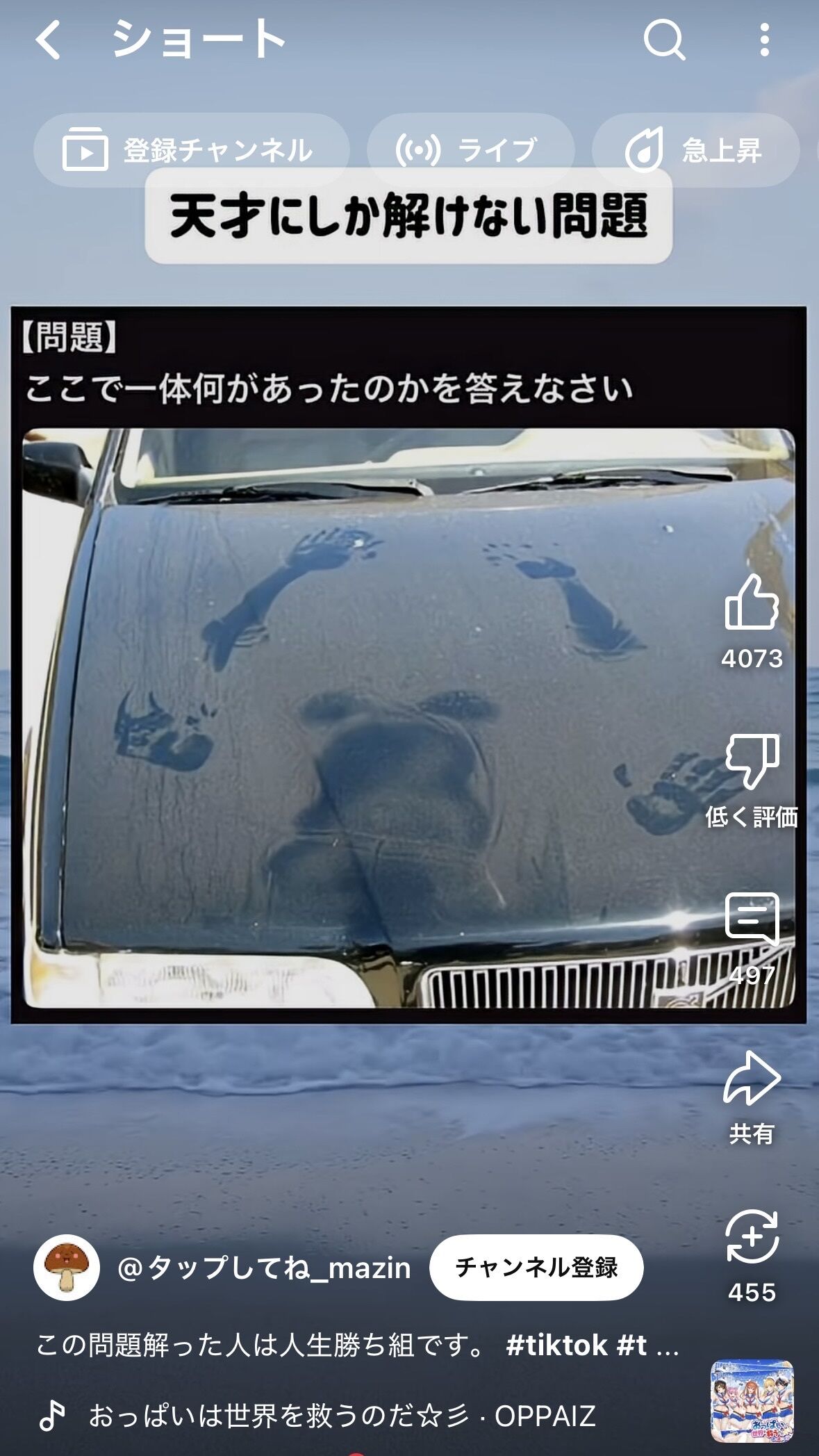 質問&#10083;&#65039;