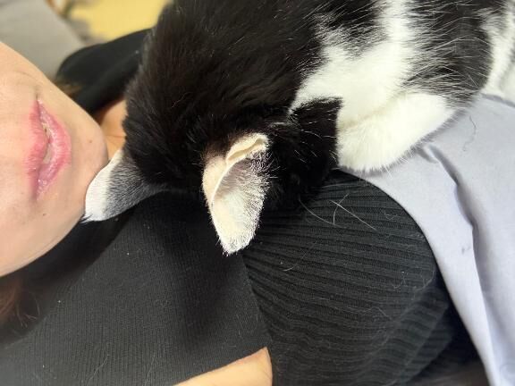 ウチのかわい子ちゃん&#9825;