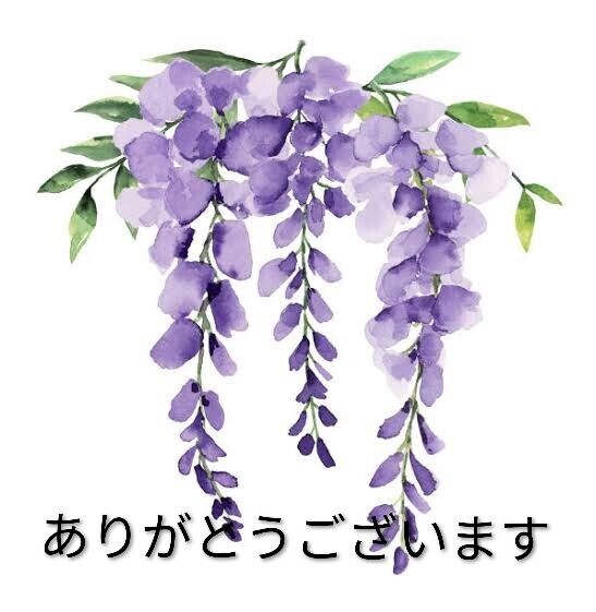 Tさま