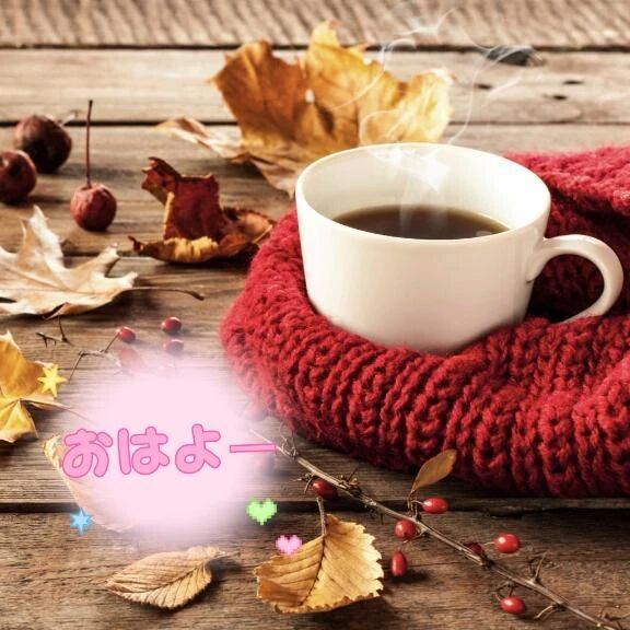 おはようございます