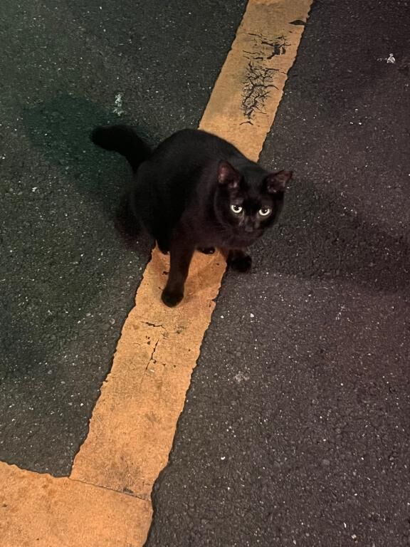 お店向かってます&#129293;