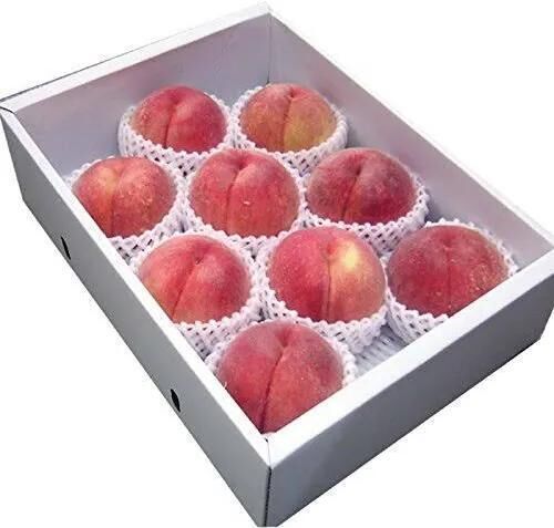 こんにちは♡♡