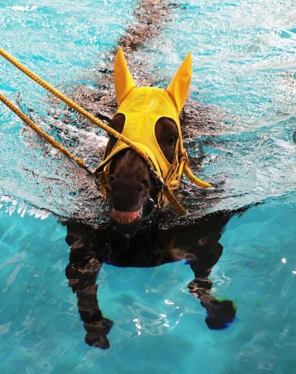 &#9825;( ´&#9825;&#9825;&#9825;&#9825; )&#9825;&#9825;