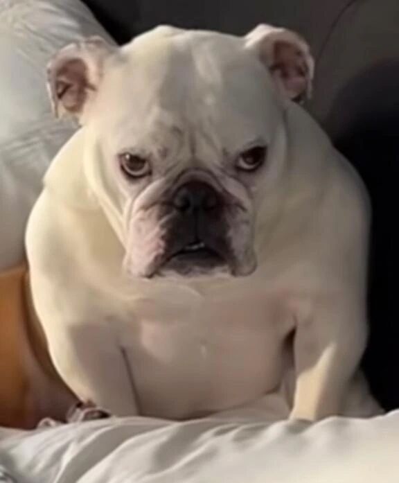 金玉曜日お昼から(^^)太満太満