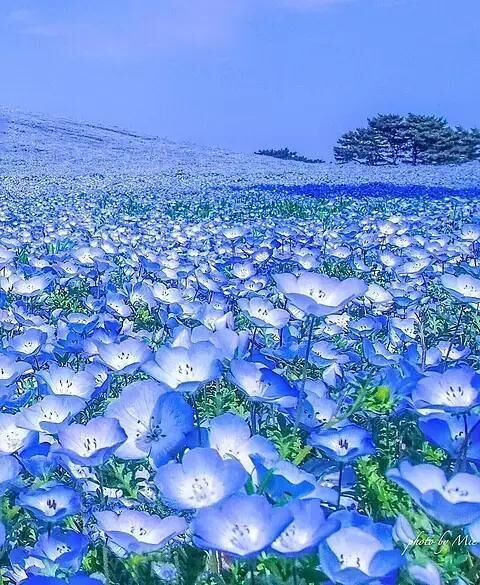 おはようございます&#9825;&#9825;
