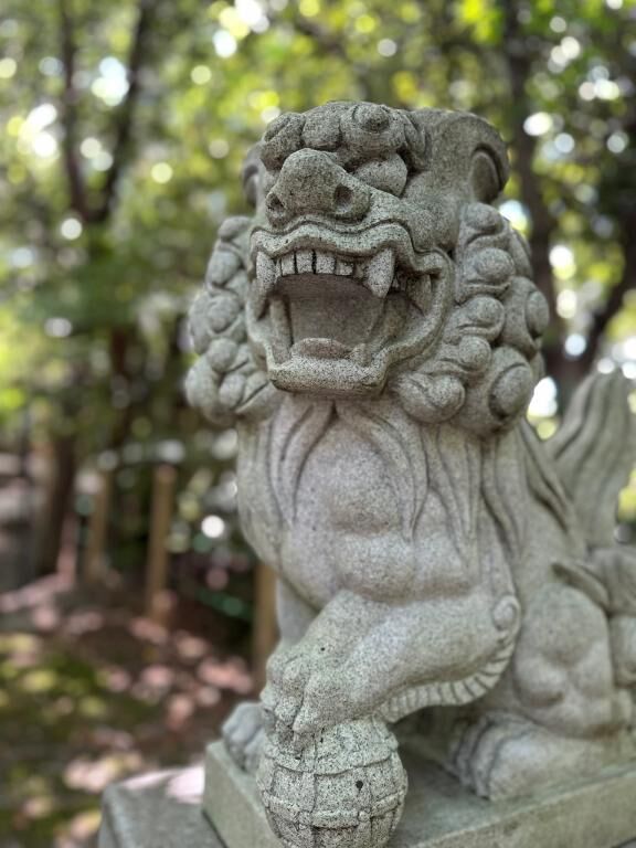 どうも