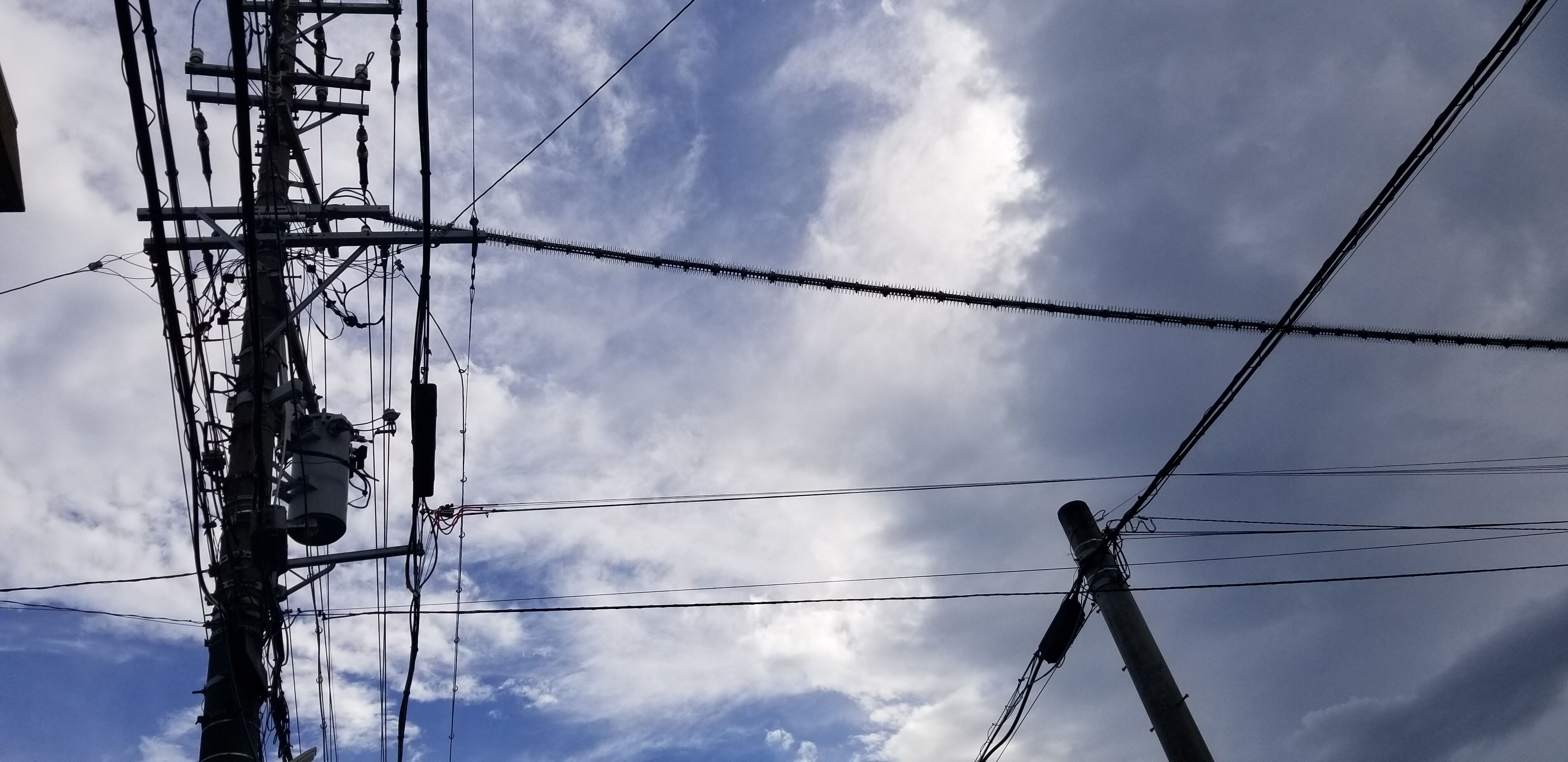 お疲れさまです♪