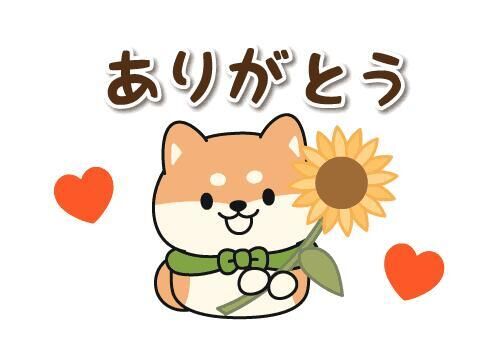 今日もよろしくお願いします