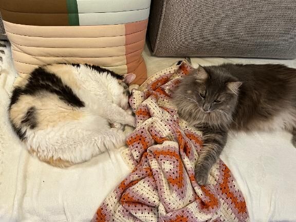 本日お休み
