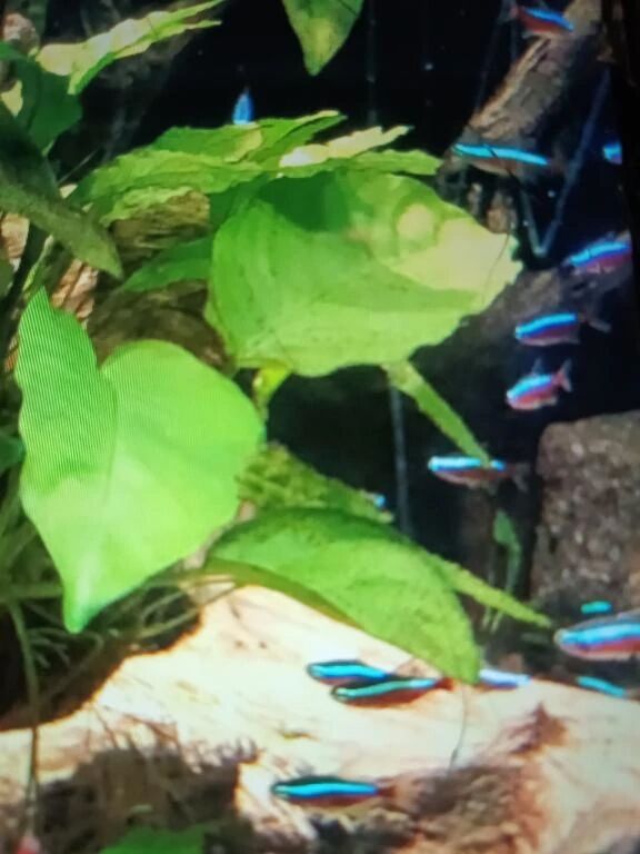 １２時から出勤します&zwj;♀