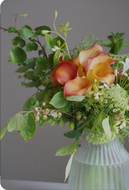 [お題]from:トマトさん